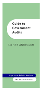 Guide to Government Audits