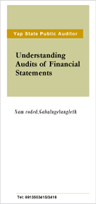 Understanding Audits of Financial Statements